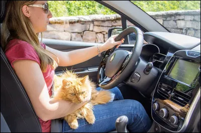 Cette conductrice est-elle en sécurité ?