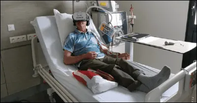 Débarrasse le sang des toxines :