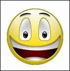 Comment traduit-on 'russir' en anglais ?