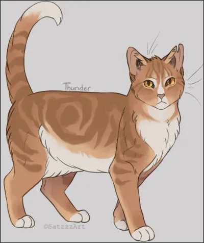 Es-tu un mâle ou une femelle ?