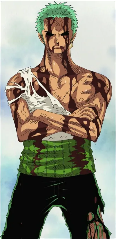 Quel est le nom de famille de Zoro ?