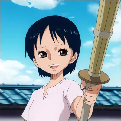 Comment sappelle lami denfance de Zoro ?