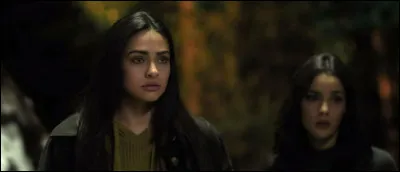 Quelle est la profession de Valentina ?