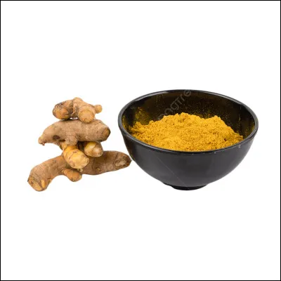 Quelle est la couleur de la poudre de safran ?