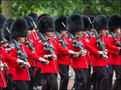 Où peut-on voir la relève de la garde à Buckingham Palace ?