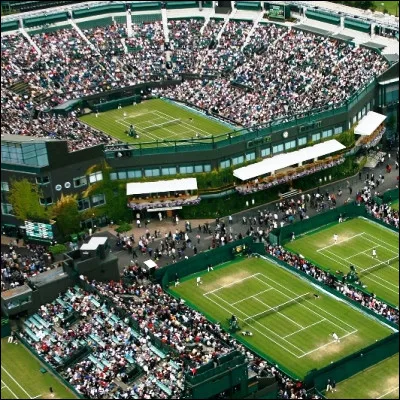 Quelle joueuse de tennis ayant remporté les quatre tournois du Grand Chelem en simple a commencé sa moisson de trophées majeurs en gagnant à Wimbledon ?