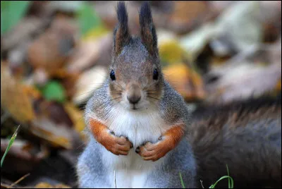 Et pour Maurice Lançon, en 1957, comment sont les jours ?