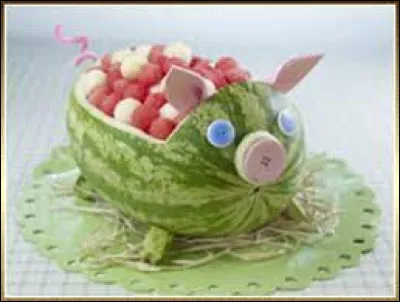 Quel est cet animal ?