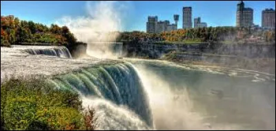 Dans quel Etat se situe la ville de Niagara Falls, 50 000 habitants, située en face de la ville canadienne homonyme ?
