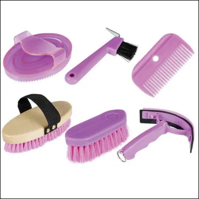 Quel est l'ordre de passage pour panser un cheval ?