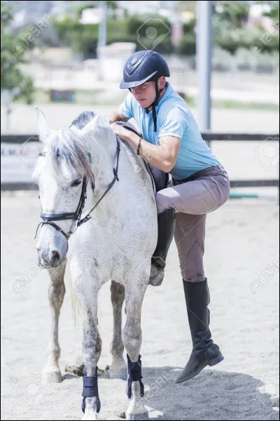 Que faut-il faire avant de monter à poney ?
