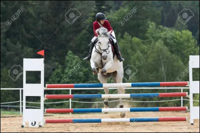 Quel obstacle n'existe pas ?