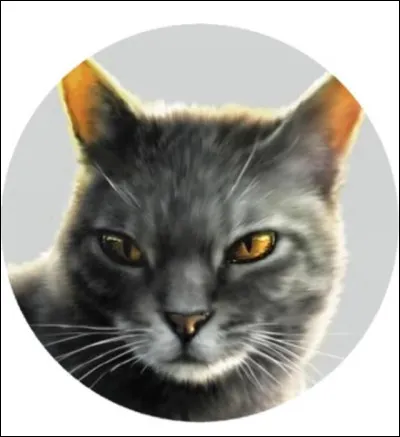 Qui était le mentor dAile de Faucon ? (Clan du Ciel)