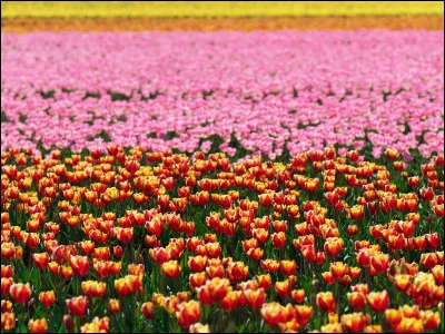 Quelle couleur préfères-tu (2) ?