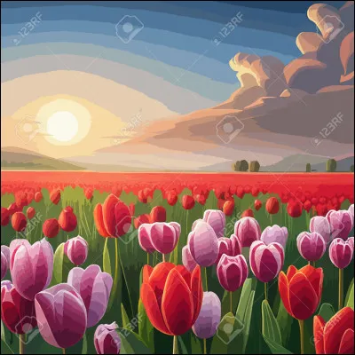 Quelle couleur préfères-tu (4) ?