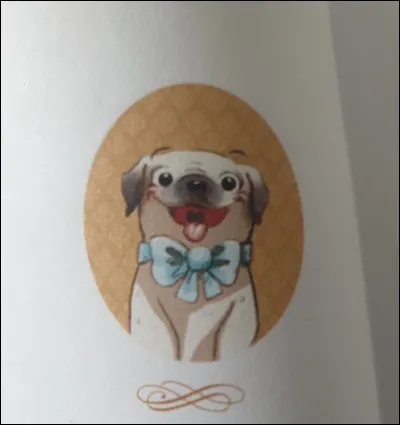 Ce petit animal trop mignon, comment s'appelle-t-il ?