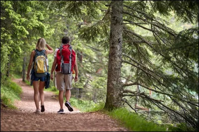 Quel est ce loisir ?