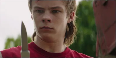 Qui a fait tomber Henry Bowser du haut d'un puits ?