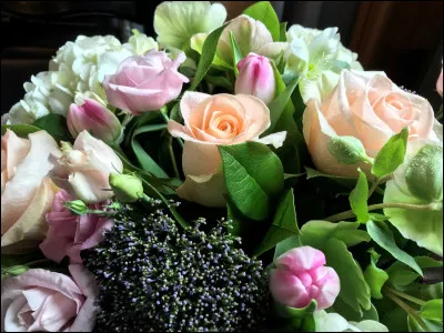 Quelqu'un t'a laissé des fleurs. Que te dis-tu ?