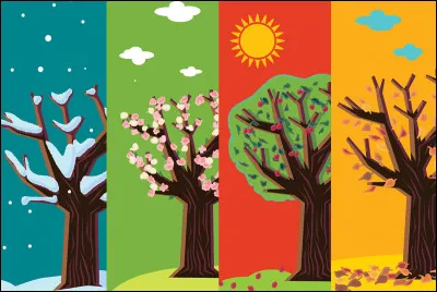 Qui chante "Y'a plus de saisons" ?