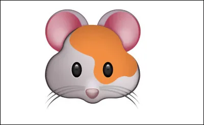 Quel est cet animal ?