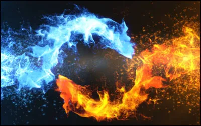 Quel est votre élément naturel préféré ?