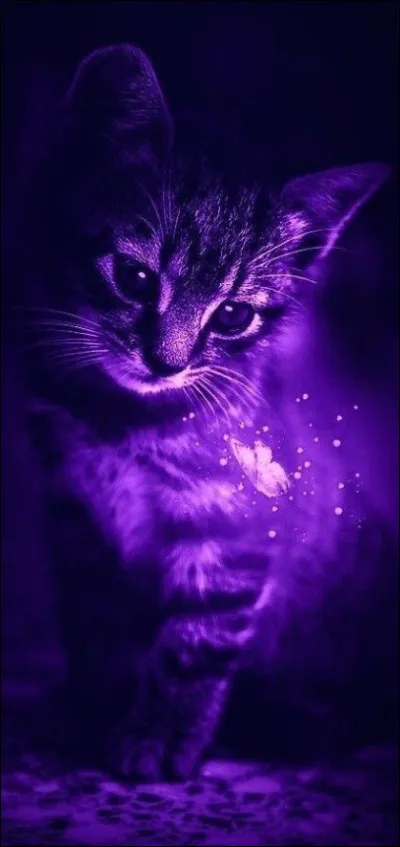 Quel est votre animal préféré parmi les suivants ?