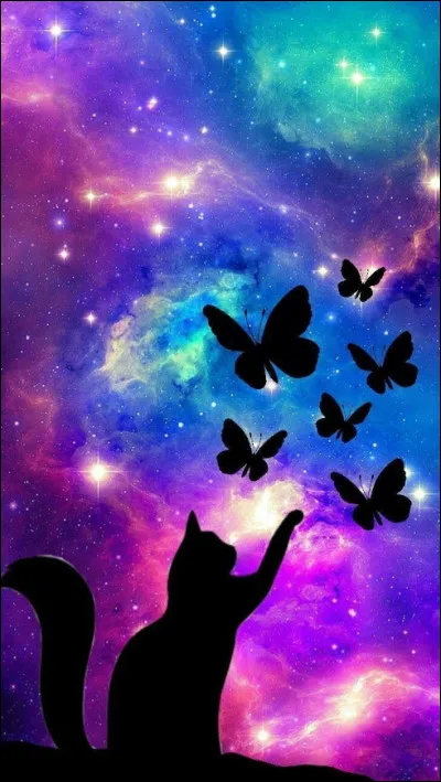 Quelle couleur vous attire le plus ?