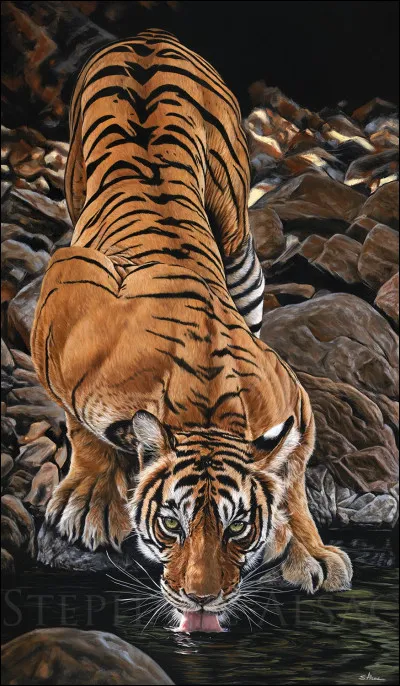 À combien de kilomètres à la ronde, le rugissement dun tigre peut-il être entendu ?