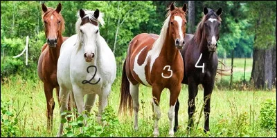 Lequel de ces chevaux est alezan ?