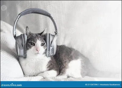 Qui chante "Tattoo" ?