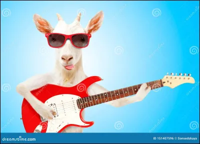 Qui chante "Hey Bro" ?