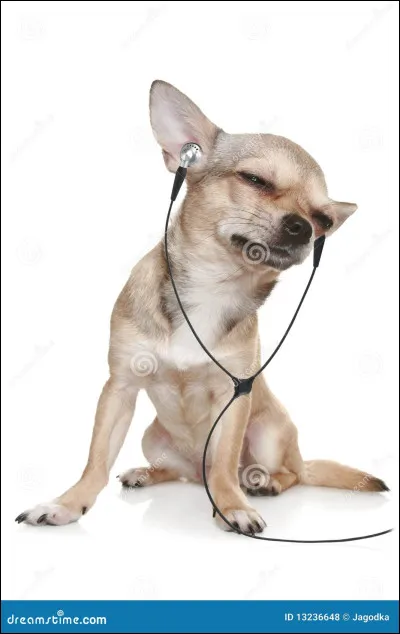 Qui chante "Si no estás" ?