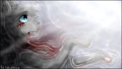 Puis il te dit qu'il te pensait plus fort que ça ! Cela t'énerve, tu lui sautes à la gorge et le tues sur le coup ! Il crie de douleur et ses yeux deviennent blancs. Tous les clans se tournent vers toi. Que ressens-tu ?