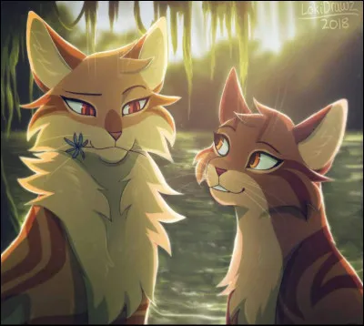 Quelle est ta plus grande qualit&eacute; ?