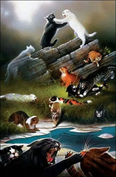 Pendant une bataille ton apprenti, Nuage de Brasier, meurt, comment r&eacute;agis-tu ?