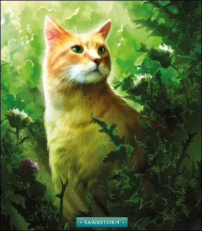 Et enfin quel est ton guerrier pr&eacute;f&eacute;r&eacute; ?