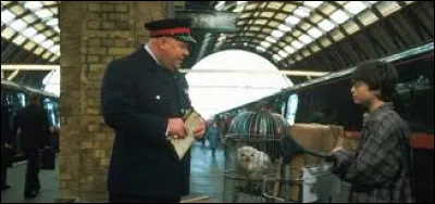 Comment s'appelle la voie que Harry doit prendre pour se rendre à Poudlard ?