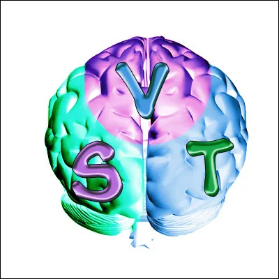 Stéphanie et ses camarades découvrent le fonctionnement d'un volcan. Ils se trouvent en cours de...