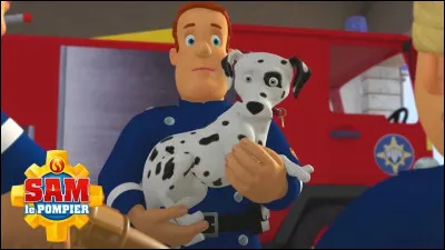 Dans ''Sam le pompier'', comment se nomme le chien qui est aussi le meilleur ami de Sam ?