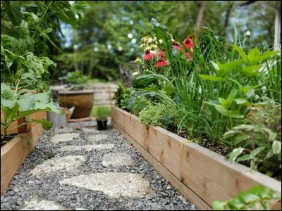 Indique la phrase sans fautes d'orthographe.