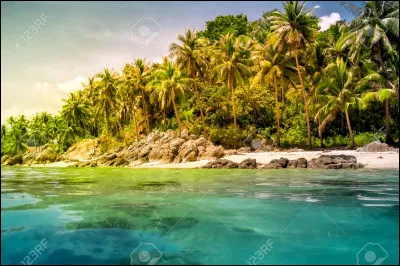 Indique la phrase sans fautes d'orthographe.