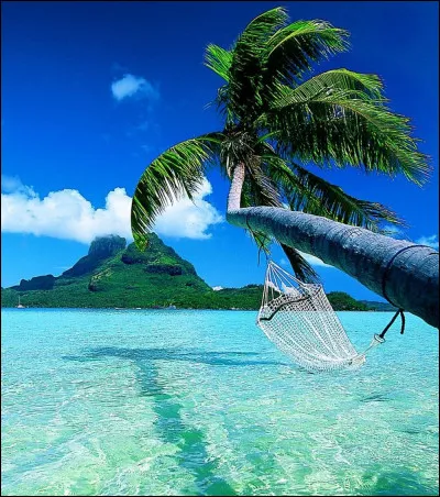 Indique la phrase sans fautes d'orthographe.