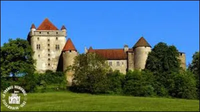 Je vous emmène en Bourgogne-Franche-Comté à la découverte du château du Pin. Village de l'aire d'attraction Lédonienne, il se situe dans le département ...