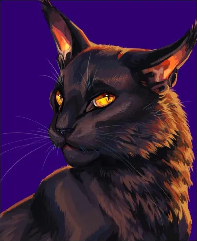 Tu d&eacute;cides finalement de l'arr&ecirc;ter ! Elle te dit que tu as raison et que ce n'&eacute;tait pas une bonne id&eacute;e. Vous rentrez au camp et son mentor, C�ur de Corbeau, la gronde car elle avait disparu ! Elle est priv&eacute;e de sortie pendant une lune... tu as de la peine pour elle. Tu pars en patrouille frontali&egrave;re et vois Aile d'Ibis, le guerrier qui a tu&eacute; ta m&egrave;re, et il te fixe du regard ! Il n'arrive pas &agrave; le d&eacute;tacher. Que penses-tu ?