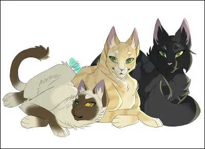 Tu vas lui parler. Il te dit qu'il ne r&ecirc;ve que de toi depuis des jours ! Il te dit qu'il t'aime, Nuage d'Argent. Tu lui r&eacute;ponds ''Lune d'Argent'' d&eacute;sormais ! Il te demande de rejoindre ton Clan. Tu lui r&eacute;ponds que tu veux bien. Apr&egrave;s tout, il doit se rattraper d'avoir tu&eacute; ta m&egrave;re, penses-tu. Plus tard vous rentrez au Clan et lui et ta s�ur deviennent compagnon et compagne. Tu t'entends tr&egrave;s bien avec eux.