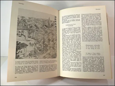 Je suis un livre globalement épais...