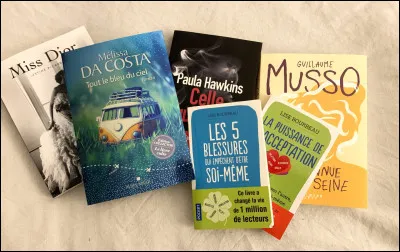 Je suis un livre que les adultes affectionnent tout particulièrement pour mon nombre de pages offrant une histoire longue et l'absence d'images...