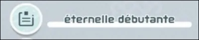 Avant de jouer à un mini-jeu, on a un aperçu des différents participants au jeu. Proche de leur pseudo, un ensemble de mots est écrit. Comment cet ensemble de mots est-il appelé dans le jeu ?