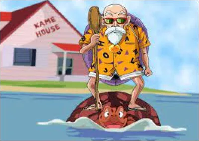 Dans quel manga peut-on voir Tortue Géniale ?